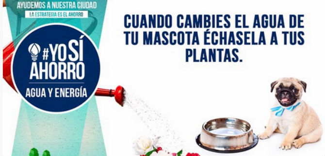 Campa�a Yos�ahorro busca cambiar conducta del uso de agua y energ�a
