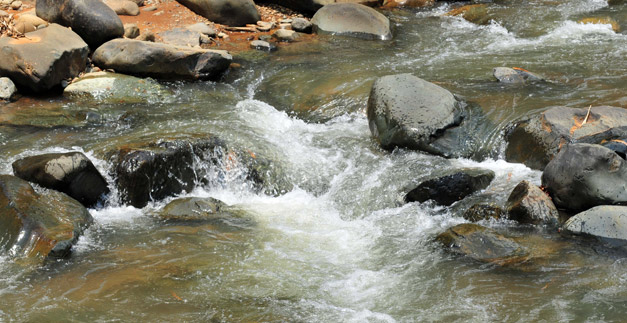 Declaratoria del r�o Mel�ndez como �rea protegida, a la mesa este jueves