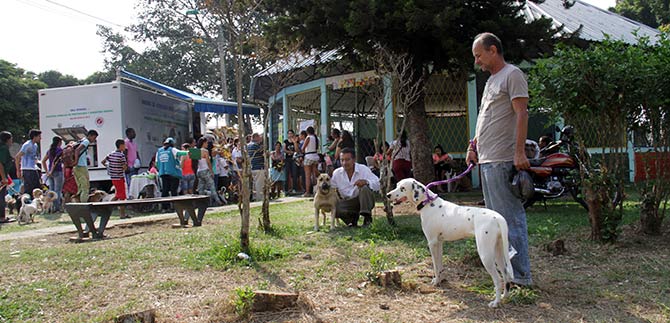 Salud animal es hoy mejor en la comuna 15, luego de jornada de atenci�n