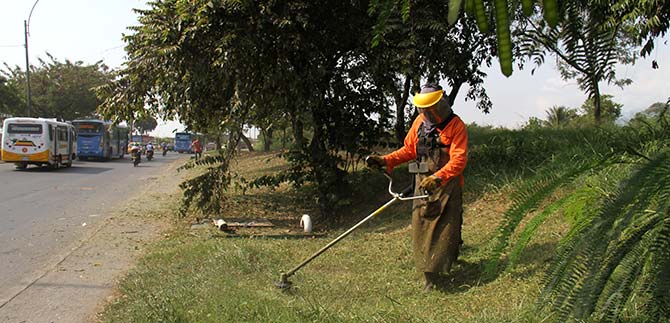 Dagma atiende poda de pasto en diversos sectores de Cali