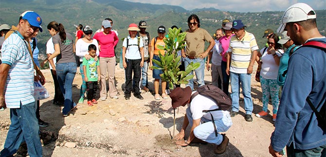 Se adelanta campa�a con la comunidad, para abonar �rboles en el Cerro de la Bandera