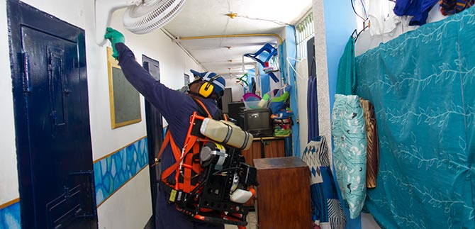 Zancudo Aedes sali� de la c�rcel