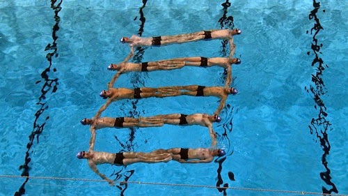 Interclubes de nado sincronizado con participaci�n masculina