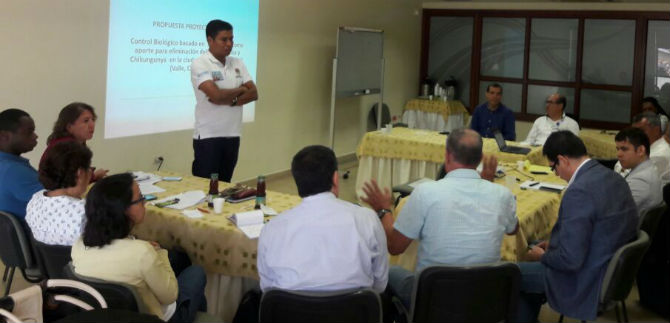 Estudian otras alternativas para controlar vector transmisor de virus como el dengue