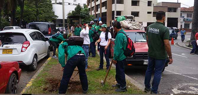Dagma intervino sitios estrat�gicos para recuperaci�n y siembra de especies nativas