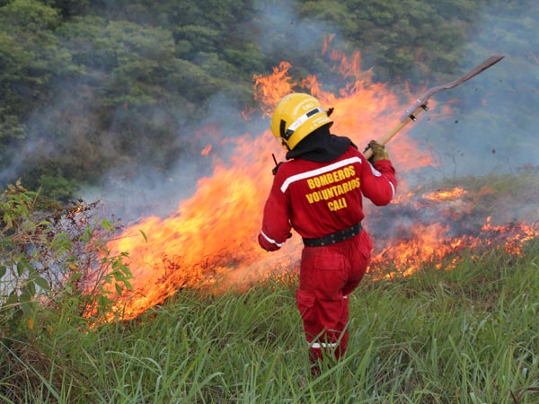 Este viernes, rueda de prensa con delegados de EE.UU. y de la Naci�n para anunciar planes estrat�gicos contra incendios en Cali