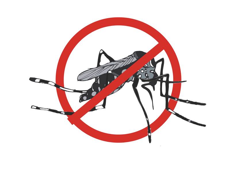 Rueda de prensa sobre plan de acciones para prevenir el dengue en Cali