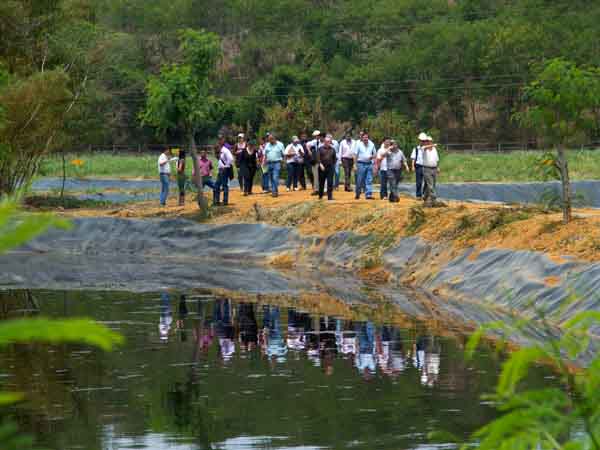 La Alcald�a adjudic� contrato para construir la planta de lixiviados en Navarro; termin� la espera para Cali