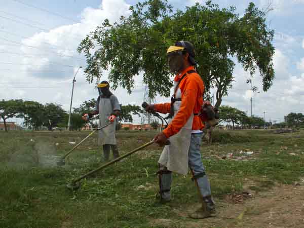 Sigue mantenimiento de zonas verdes; esta semana y la pr�xima, poda en 11 comunas