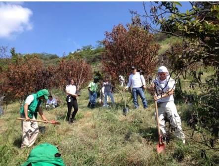 En el Ecoparque Batacl�n, el Dagma empez� proyecto para reducir el gas carbono; el 29 de junio, habr� siembra de �rboles