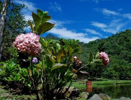 La zona rural ofrecer� planes a propios y turistas que disfrutar�n los Juegos Mundiales