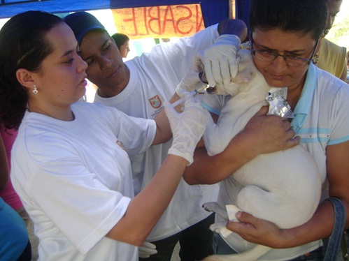 El Centro de Zoonosis realiz� jornada de esterilizaci�n para mascotas en la Comuna 20