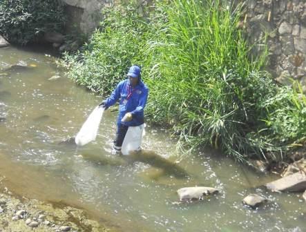 El Dagma apoy� jornada de limpieza en el r�o Cali