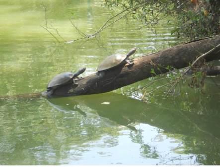 La Ruta Verde, atractivo tur�stico y ecol�gico que cada vez conquista m�s corazones