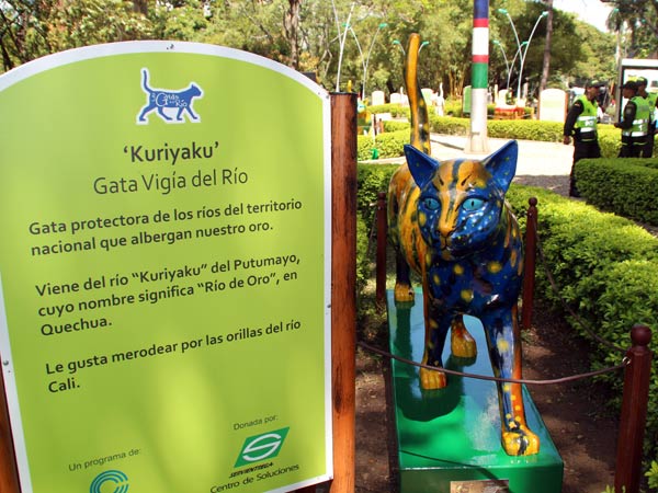 �Kuriy�ku� aumenta las Gatas del R�o