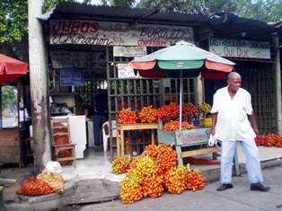Jornada de Embellecimiento se tom� Puerto Chontaduro