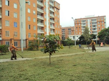 Quinta fase del mantenimiento de las zonas verdes en Cali ya va en un 54%: Directora del Dagma