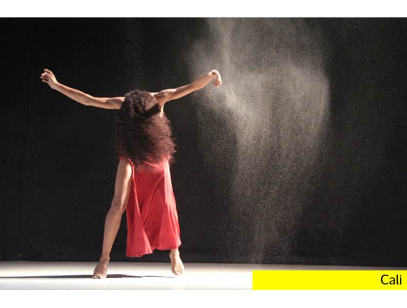 Viernes de danza moderna, contempor�nea y salsa, en el quinto d�a de la 1� Bienal de Danza