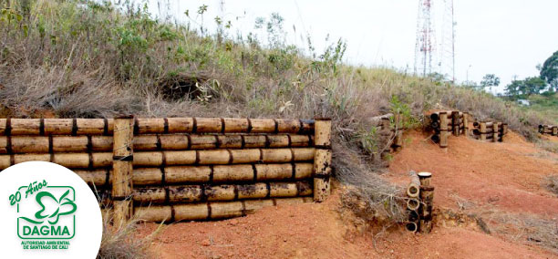 Recuperaci�n del Cerro de Cristo Rey