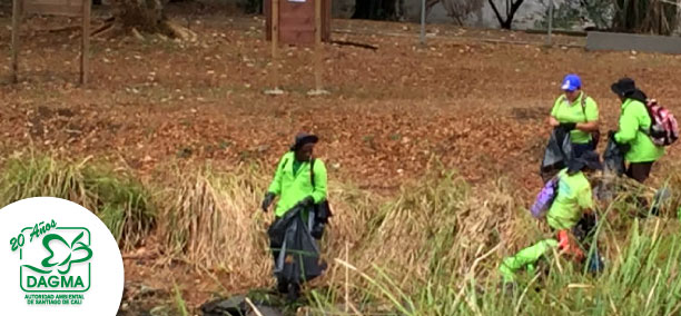 Recicladores apoyan gesti�n de limpieza y recolecci�n de caracol africano