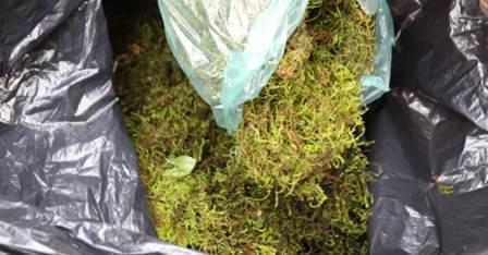 Dagma invita a disfrutar de la Navidad  cuidando  los ecosistemas