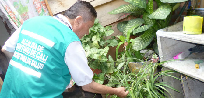Visitadas 1296 casas en El Poblado II, en tercera jornada contra el dengue