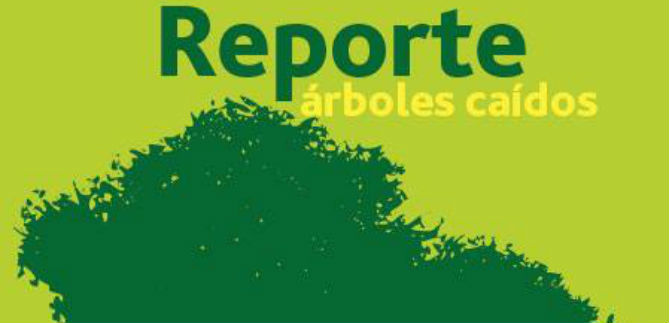 Dagma habilita nueva l�nea para reportar intervenci�n de �rboles