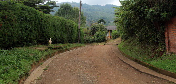 Con vigencias futuras se busca garantizar pavimentaci�n de la Vuelta a Occidente