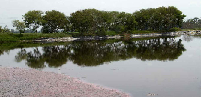 Con la planta de lixiviados, Cali avanza hacia una ciudad sustentable