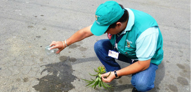 Jornada de prevenci�n contra el dengue y chikungunya en El Hormiguero