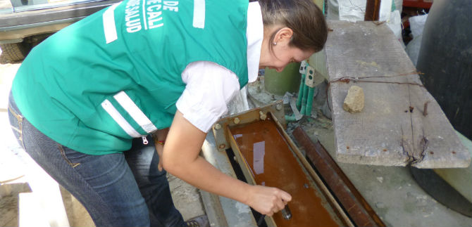 Barrio Bellavista tendr� jornada contra el dengue y chikungunya