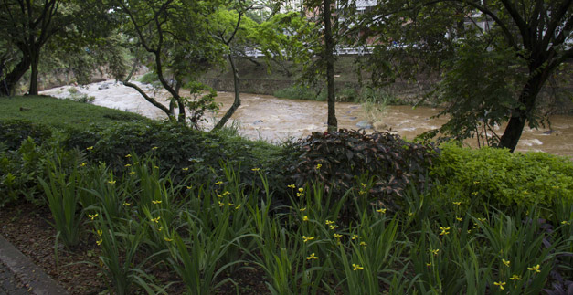 Esculturas inflables flotar�n en el r�o Cali este s�bado