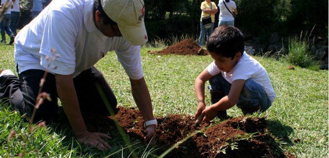 Siembra en ecoparque Batacl�n, respiro y aporte al medioambiente
