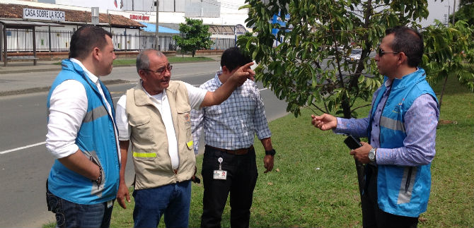 Protegen �rboles cerca de grader�as del Sals�dromo; proponen adopci�n de zona verde