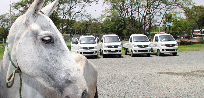 Este lunes, la Administraci�n Municipal entrega 31 veh�culos a carretilleros