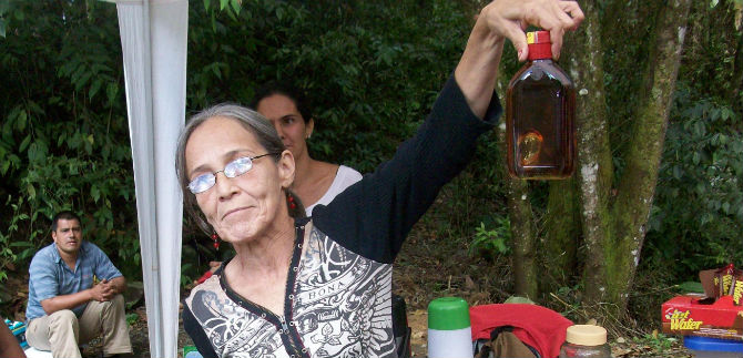 Foro de Seguridad Alimentaria y Nutricional