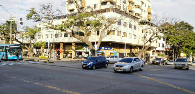 Plagas acabaron con dos Samanes y ser�n talados