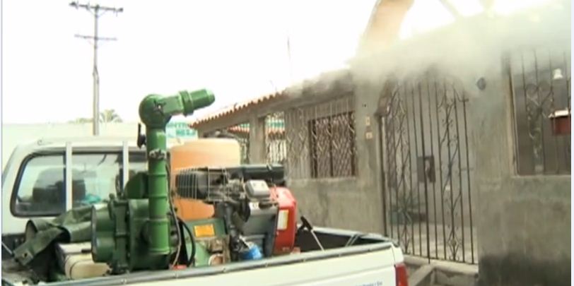 Incrementan fumigaci�n contra el mosquito transmisor del dengue y chikungu�a