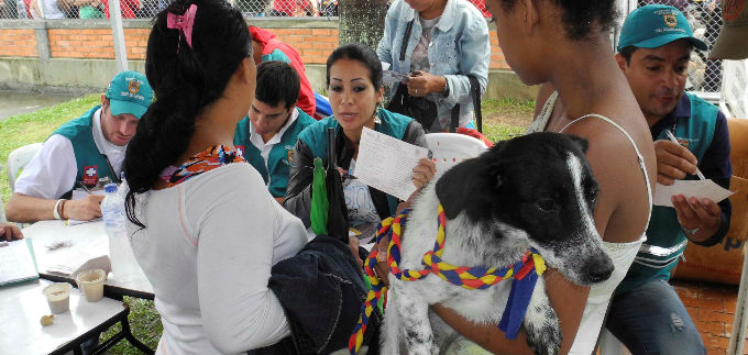 Due�os de animales de compa��a deben adquirir varias responsabilidades