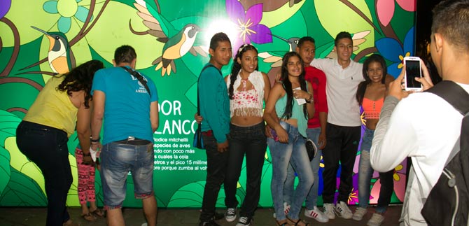 La magia de las aves sigue cautivando a propios y visitantes en el alumbrado navide�o