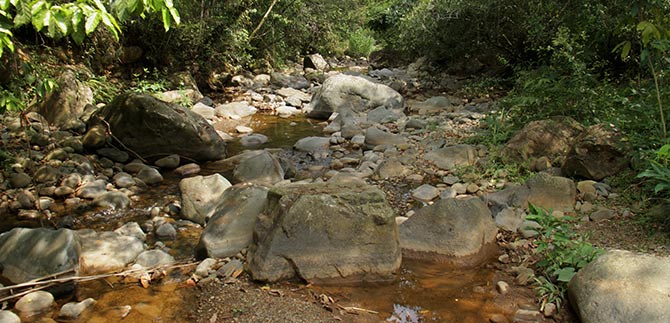Llamado al uso eficiente y ahorro del agua a los cale�os