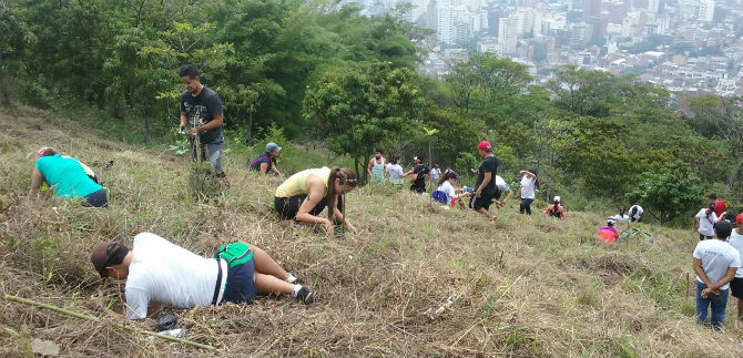 En el cerro de las Tres Cruces fueron sembrados 300 �rboles