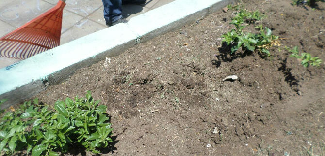 Administraci�n hace un llamado a la comunidad para hacer de Cali una urbe linda y bonita