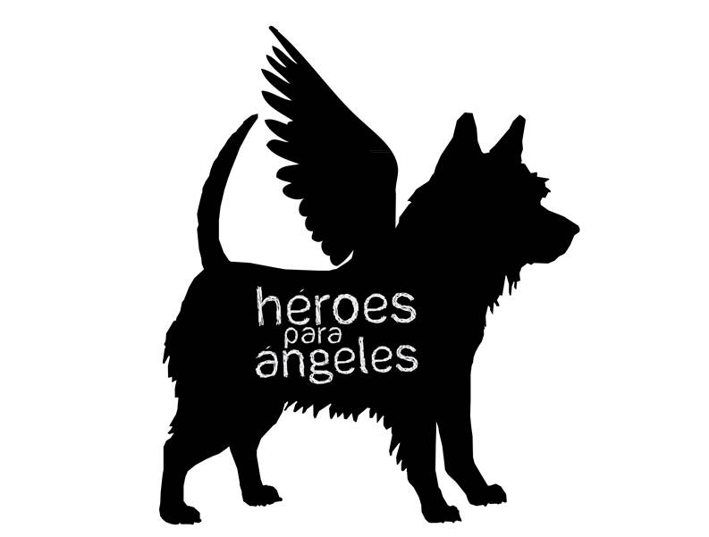 Cortometrajes con talento de Estudios Takeshima se presentan en Cartagena