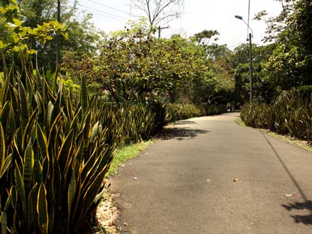 El Corredor Verde, Ecociudad Navarro, un aeroparque y el jarill�n, entre los proyectos de desarrollo de Cali