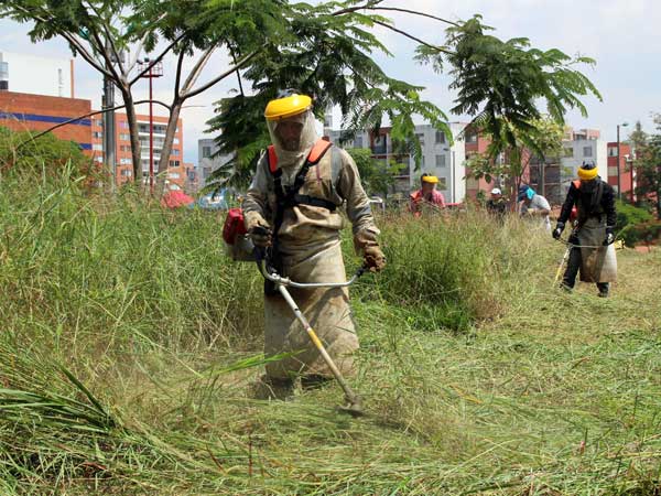 El Dagma intervendr� 800 parques y 14 millones de metros cuadrados de zonas verdes