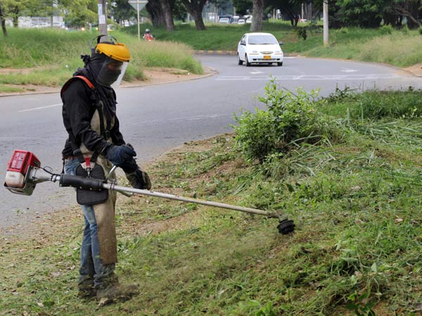 Sigue la transformaci�n de zonas verdes en Cali; avanzan jornadas de poda y mantenimiento