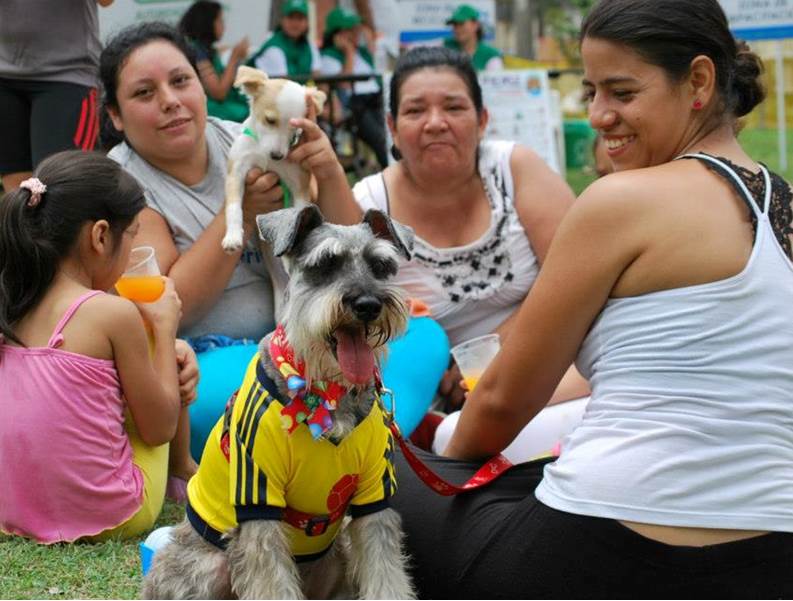 La Ciclovida en El Ingenio tendr� otra zona para hacer deporte con las mascotas