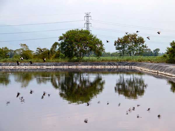 La planta de tratamiento de lixiviados en Navarro se debe construir en ocho meses