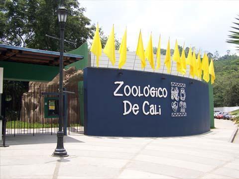 La Alcald�a invita hoy a ni�os de 0 a 5 a�os a disfrutar el Zool�gico con entradas gratuitas